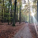 Wypoczynek W Domu Nad Morzem Βίλα