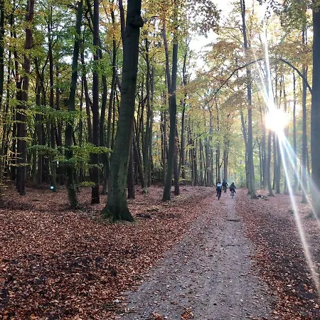 Wypoczynek W Domu Nad Morzem Βίλα