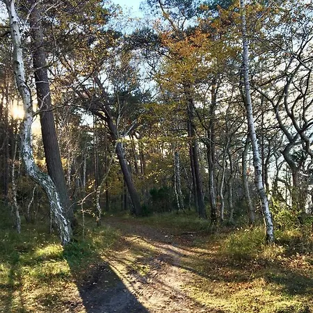 Wypoczynek W Domu Nad Morzem