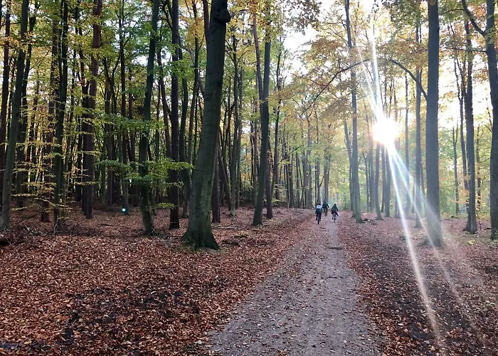 Wypoczynek W Domu Nad Morzem Villa