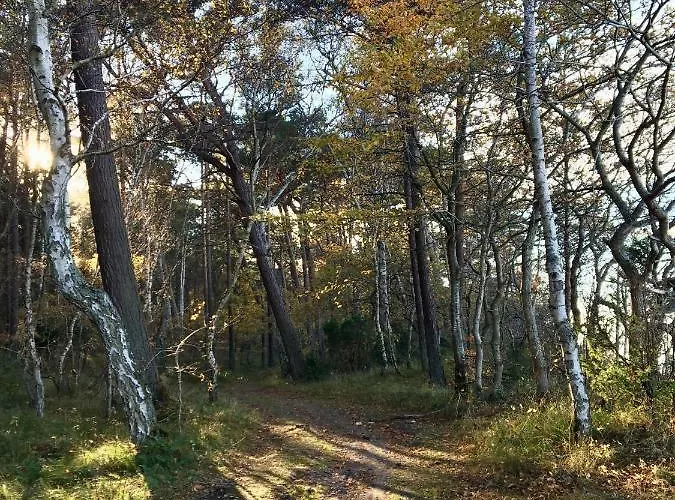 Wypoczynek W Domu Nad Morzem